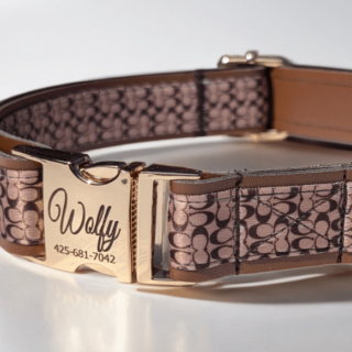 Choosing a Designer Dog Collar